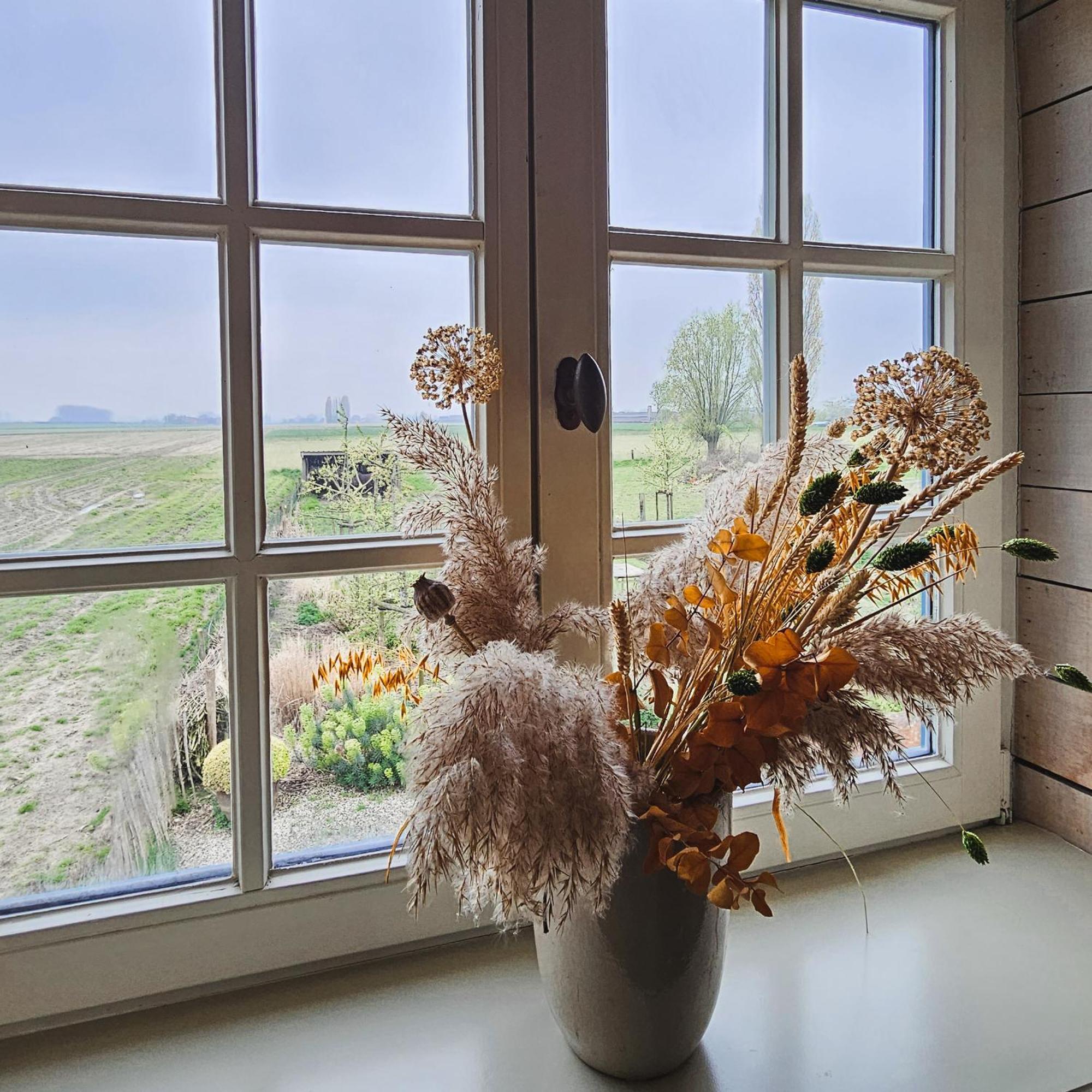 Boutique B&B Droomkerke Ruiselede Exteriör bild