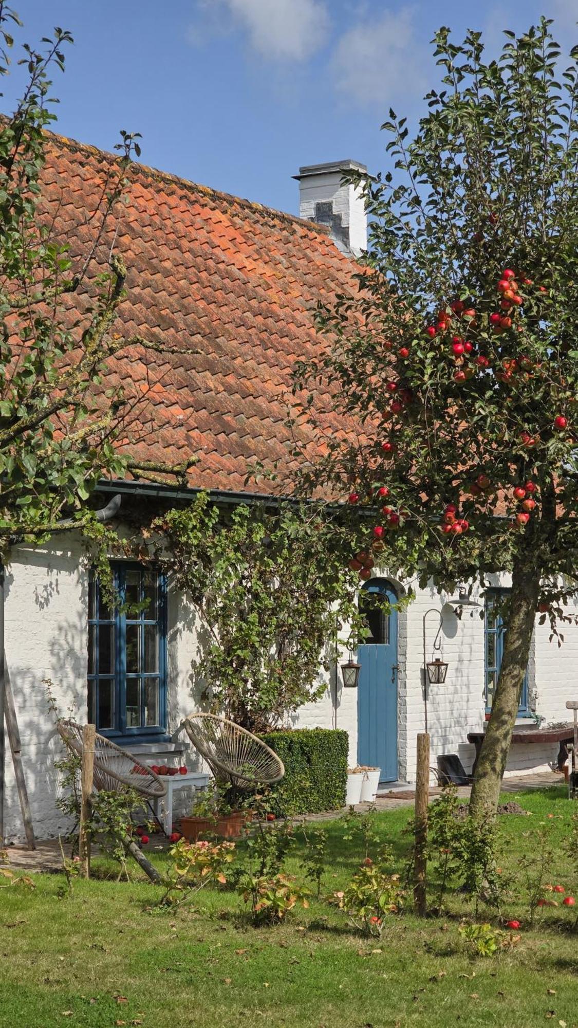 Boutique B&B Droomkerke Ruiselede Exteriör bild